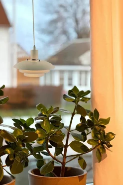 Aneta Lighting Hängande fönsterlampa Epsilon