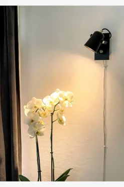 Aneta Lighting Vägglampa Metz