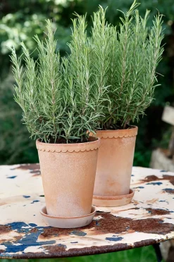 Bergs Potter Hög kruka med fat Helena RAW, Ø 14 cm