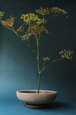 Bergs Potter Kruka Ada Raw Ø 45 cm