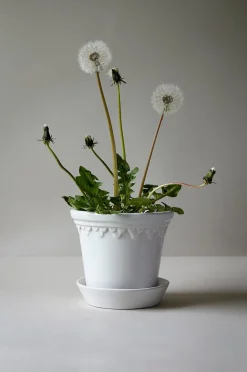 Bergs Potter Kruka med fat Københavner GLAZED, Ø 14 cm
