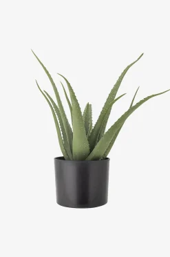 Bloomingville Aloe Växt