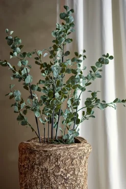 Bloomingville Eucalyptus Växt