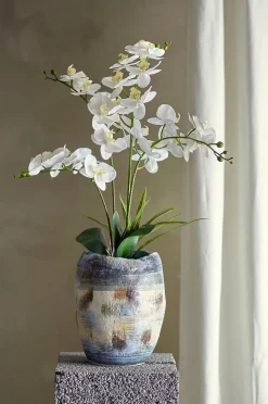 Bloomingville Orchid Växt