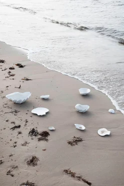 Byon Skål Shell