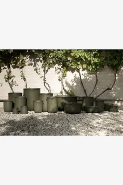 DBKD Pot Out 4-pack
