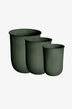 DBKD Pot Out Stripe 3-pack
