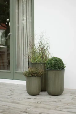 DBKD Pot Out Stripe 3-pack