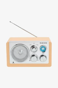 Denver Analog radio AM/FM