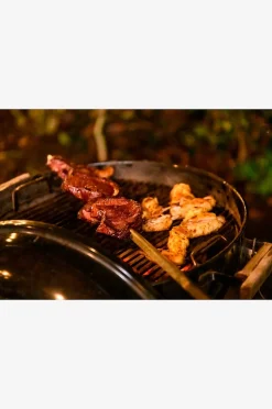 Forged V-format grillspett 50 cm
