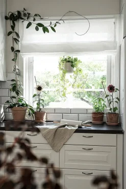 Hasta Roman Blind Linnéa höjd 160 cm