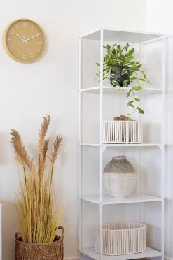 House Nordic Hoya Carnosa