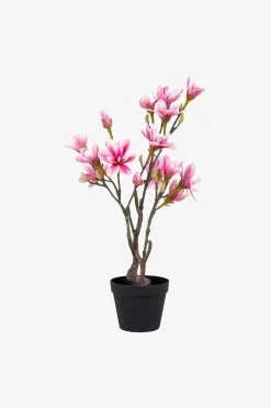 House Nordic Magnoliaträd