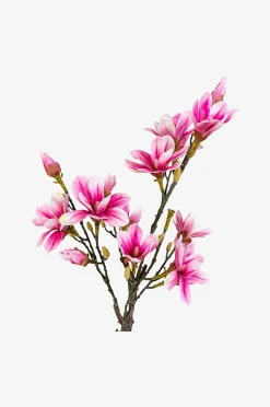 House Nordic Magnoliaträd