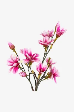 House Nordic Magnoliaträd