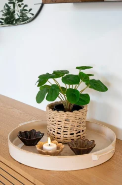 House Nordic Pelia