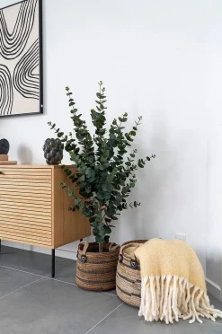 House Nordic Korgar Erba - set om 2