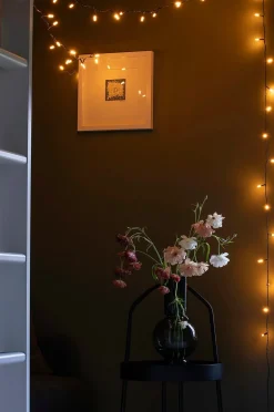 Konstsmide Ljuskälla frostad topp 50 LED 490cm