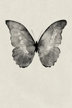 Malerifabrikken Poster Black Butterfly