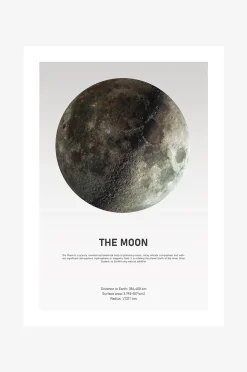 Malerifabrikken Poster The Moon Light