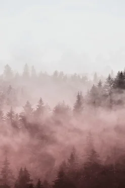 Malerifabrikken Poster Foggy red