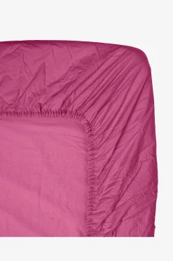 Midnatt Dra-på-lakan Pitaya