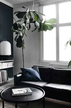 New Mags Coffee Table Book - Green Home Book
