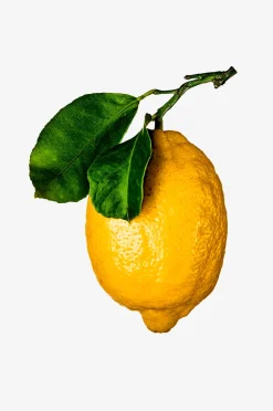 New Mags Coffee Table Book - The Gourmand'S Lemon . A Collection Of Stories And Recipes