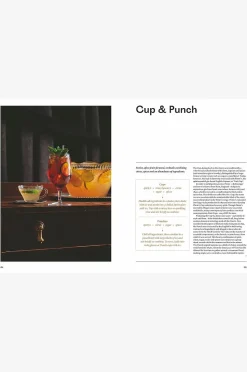 New Mags Coffee Table Book - The Madrusan Cocktail Companion