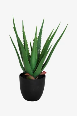 Nordic Furniture Group Konstväxt Viridis Aloe Vera