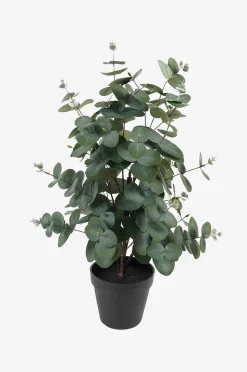 Present Time Konstgjord växt Eucalyptus Leaf