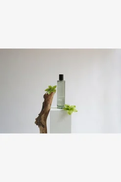 Skandinavisk Fjord Home Mist 100Ml