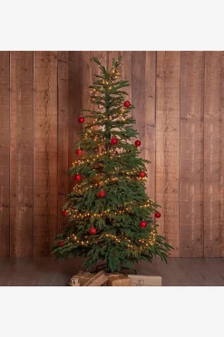 Star Trading Julgran Edane 210cm