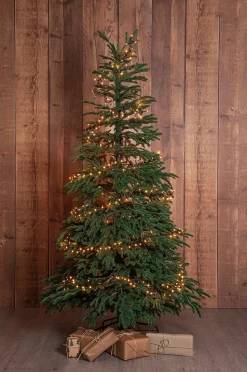 Star Trading Julgran Edane 210cm