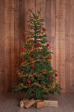 Star Trading Julgran Edane 210cm