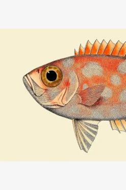 The Dybdahl Co. Affisch Blotched Bigeye Head