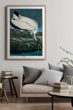 The Dybdahl Co. Affisch Wood Ibis