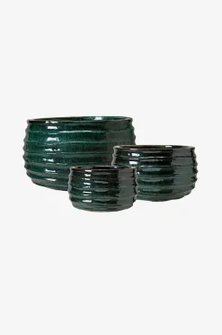 Wikholm Form Edessa Blomkruka 3-pack