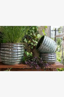 Wikholm Form Edessa Blomkruka 3-pack