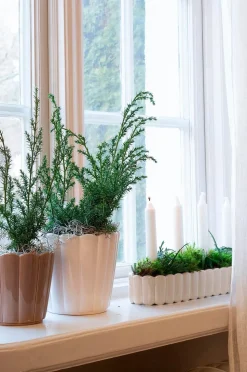 Wikholm Form Planteringslåda Oval Edna