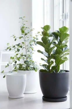 Wikholm Form Sophia Golvkruka 3-pack
