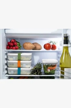 ZWILLING Elastiska band till Fresh & Save boxar 3-pack